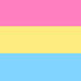 pansexual